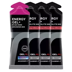 GEL4U Energy Gel+electrolyte 300 Гели питьевые