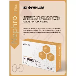 Vitual Laboratories Nephro 3 Plus Пептиды Хавинсона