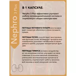 Vitual Laboratories Nephro 3 Plus Пептиды Хавинсона