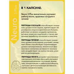 Vitual Laboratories Neuro 3 Plus  пептиды Хавинсона для мозга Пептиды Хавинсона