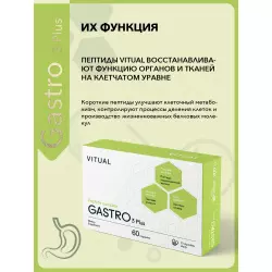 Vitual Laboratories Gastro 3 Plus Пептиды Хавинсона