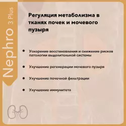 Vitual Laboratories Nephro 3 Plus Пептиды Хавинсона