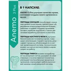 Vitual Laboratories Anemo 3 Plus (Выносливость) Пептиды Хавинсона