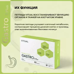 Vitual Laboratories Gastro 3 Plus Пептиды Хавинсона