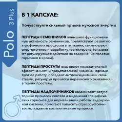 Vitual Laboratories Polo 3 Plus Пептиды Хавинсона