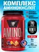 Amino-X 2:1:1 1001 г, Фруктовый пунш