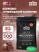 BETA RECOVERY 500 г, Шоколад
