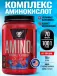 Amino-X 2:1:1 1001 г, Голубая малина