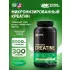 CREATINE POWDER Micronized 300 г, Нейтральный